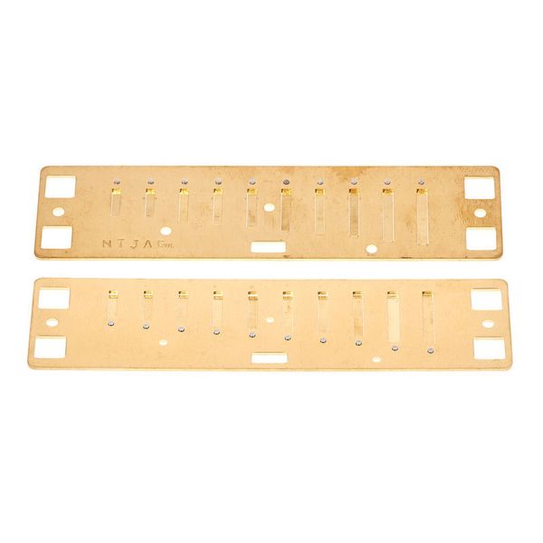 Lee Oskar Harmonic Minor Reedplates G