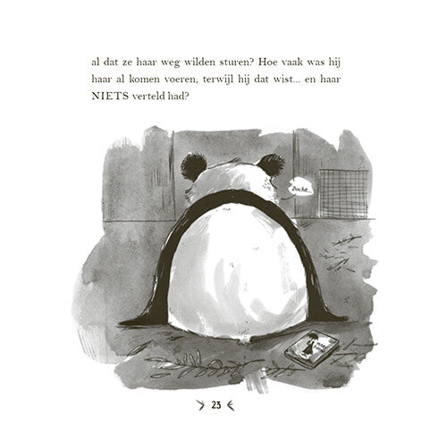 Uitgeverij condor een panda voor mijn verjaardag