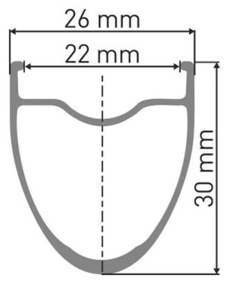 Roue avant Dt Swiss Er 1600 Spline 30 Disque Tubeless Route Roue arrière Argenté 12 x 142 mm / Sram XDR