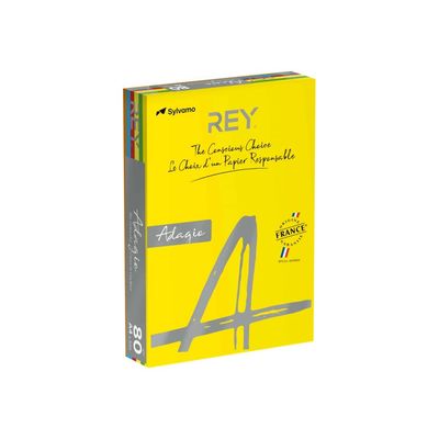 Rey Adagio - Papier couleur - A4 (210 x 297 mm) - 80 g/m² - Ramette de 500 feuilles - couleurs assorties