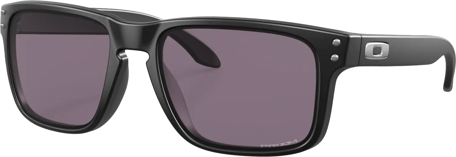 Holbrook  E855/Matte Black w/Prizm Grey