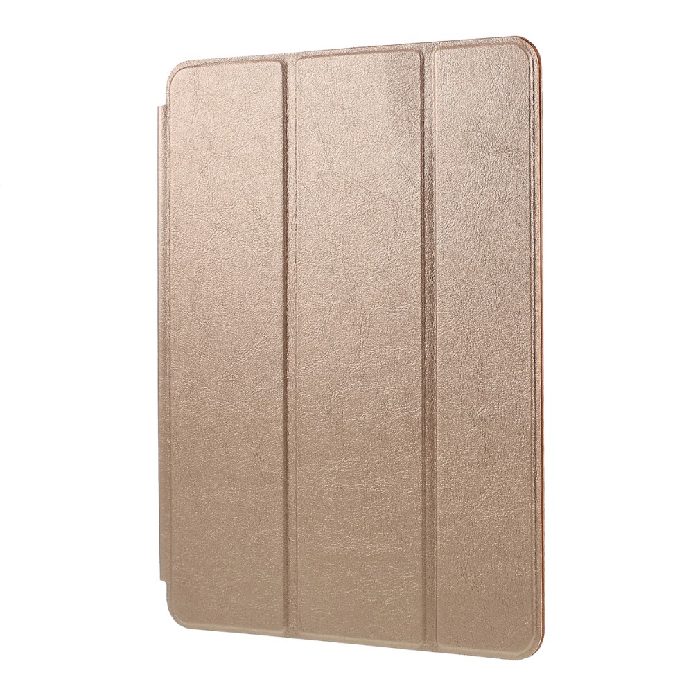 iPad 10.2