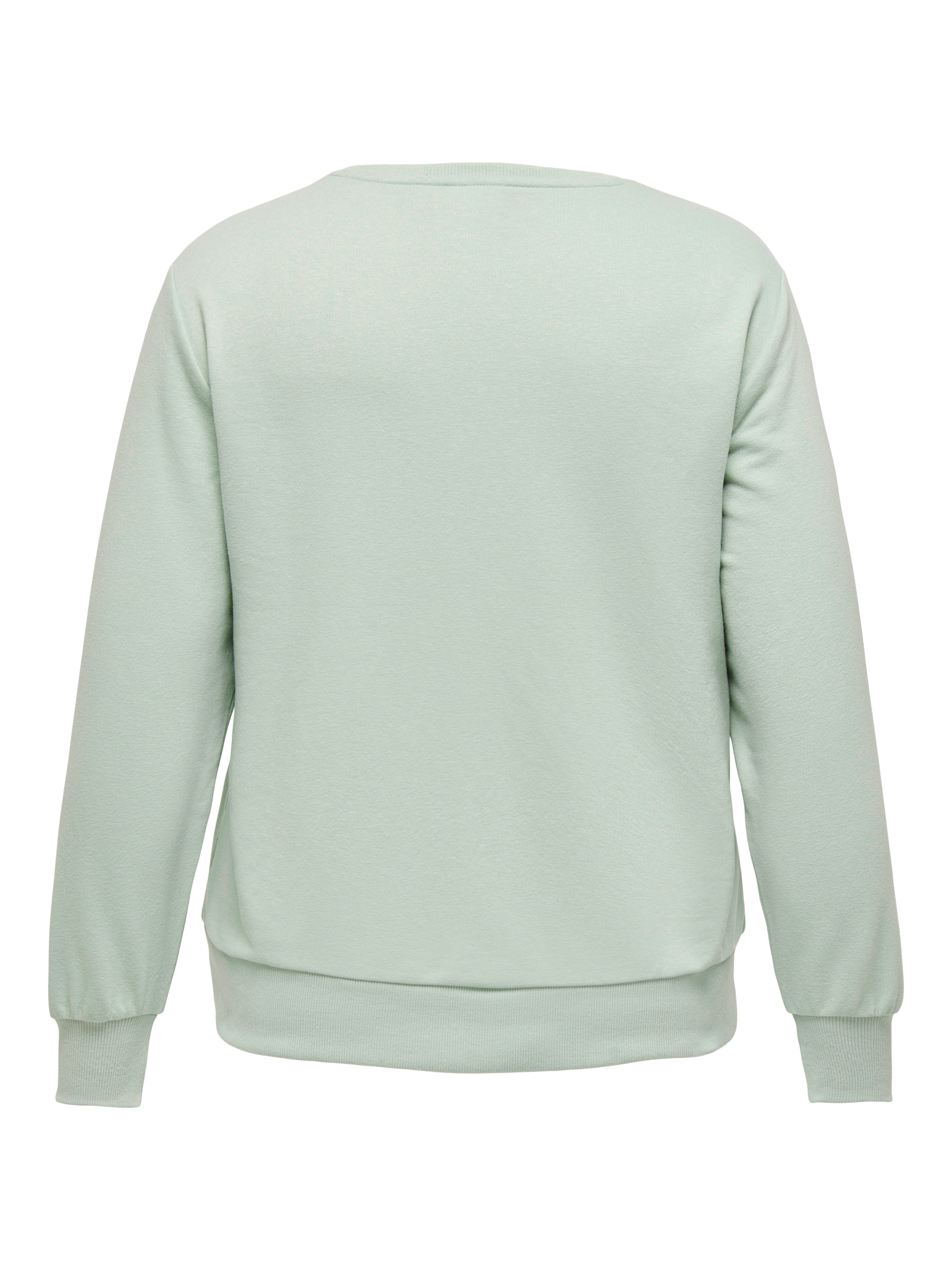 CARVANNA Sweatshirt Aqua Gray