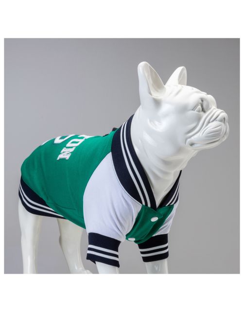 Lindo Hondenjas Boston - Hondenkleding - Groen 5