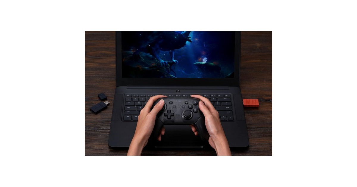 8BitDoUSB Wireless Adapter 2 draadloze adapter  (Bruin)