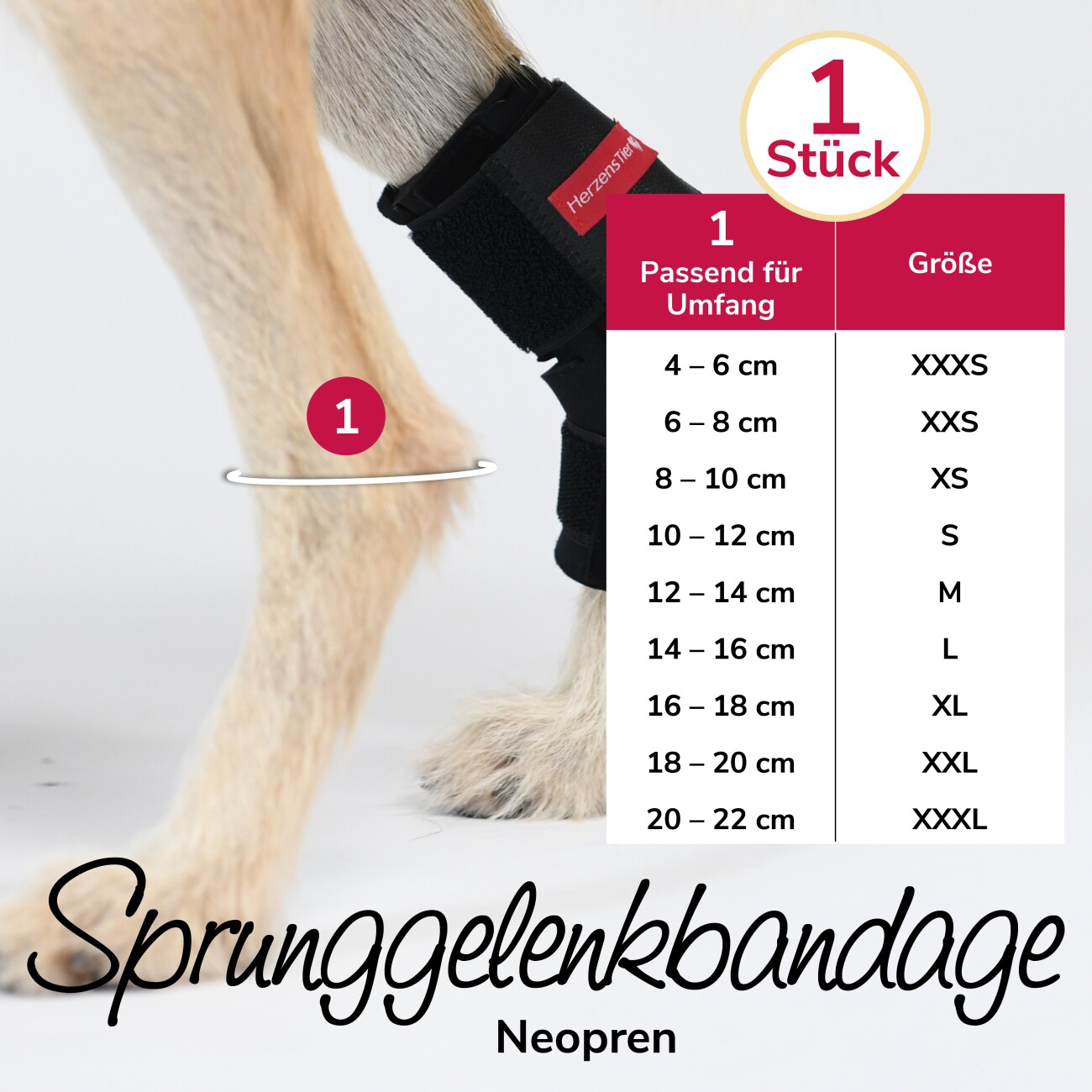 HerzensTier Sprunggelenkbandage Neopren XS