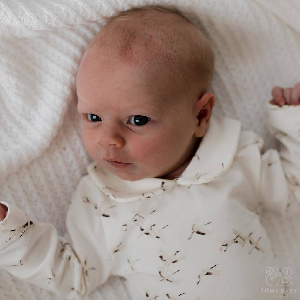 Yumi Baby romper Cranebrids