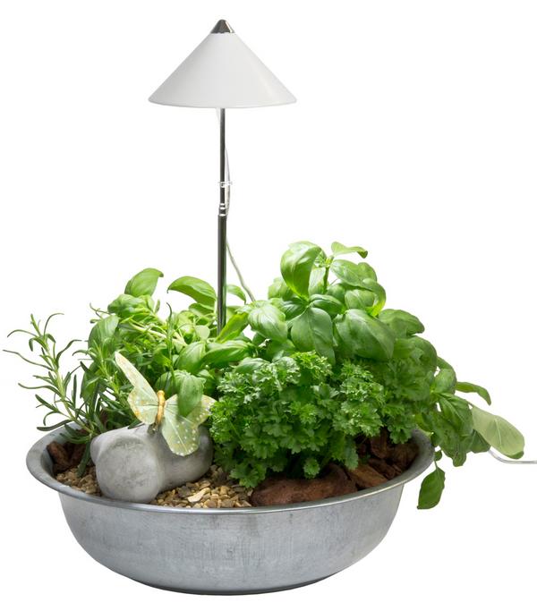 Venso LED-Pflanzenlampe