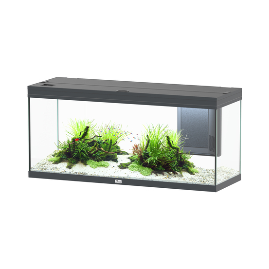 Aquarium équipé Volga 240 Led 2.0 Gris L. 122.5 x P. 42.7 x H. 56.4cm