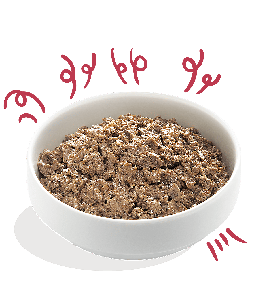 Edgard & Cooper Adult Biologisch Kuipjes Rund 17 x 100 gram