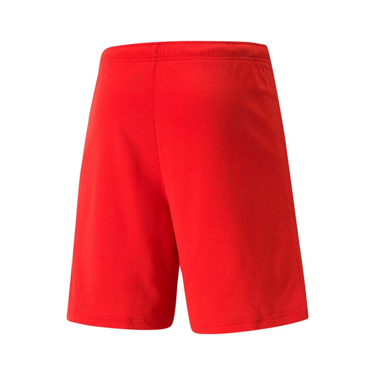 Calções Puma teamRISE