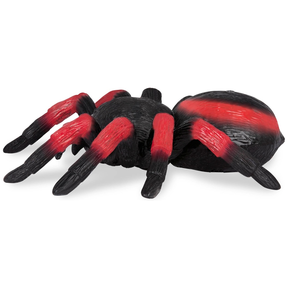 Terra ferngesteuerte Spinne Tarantel