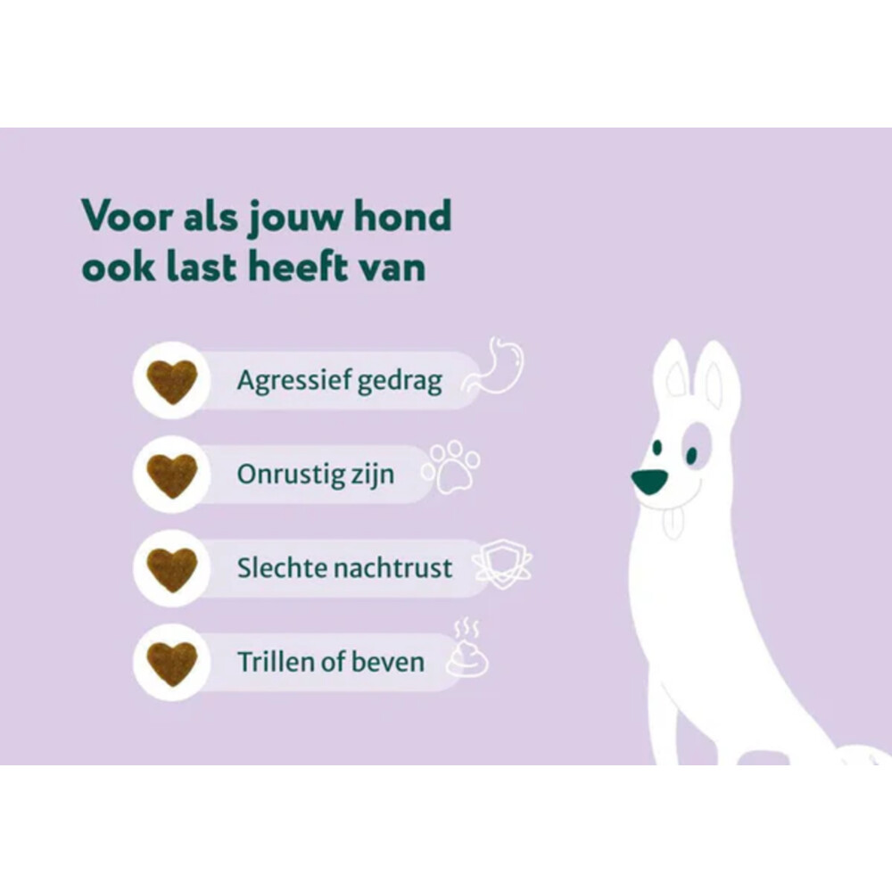 DogSuppy Anti-Stress & AngstKip60 stuks