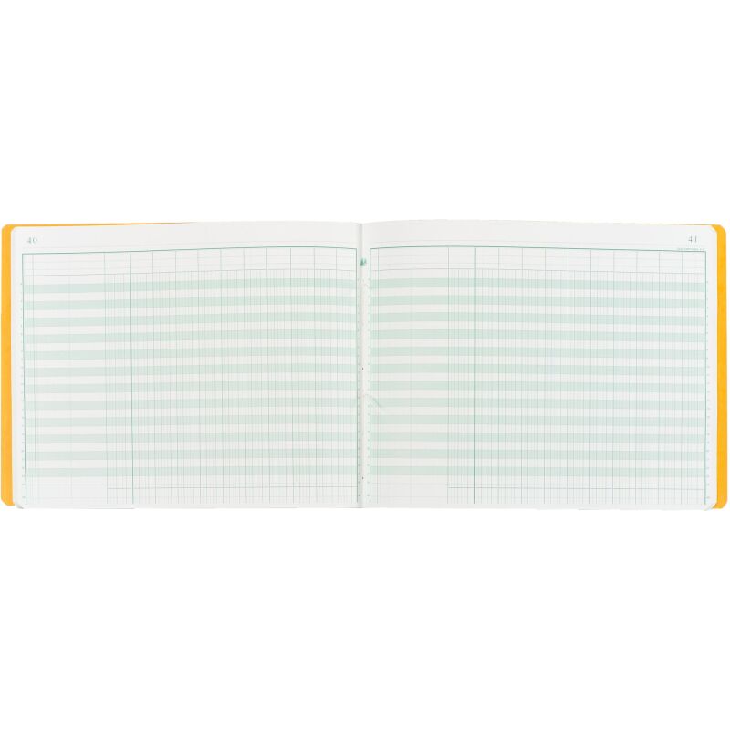 Registre 11 colonnes Exacompta 6110E, 32 x 25 cm 80 pages