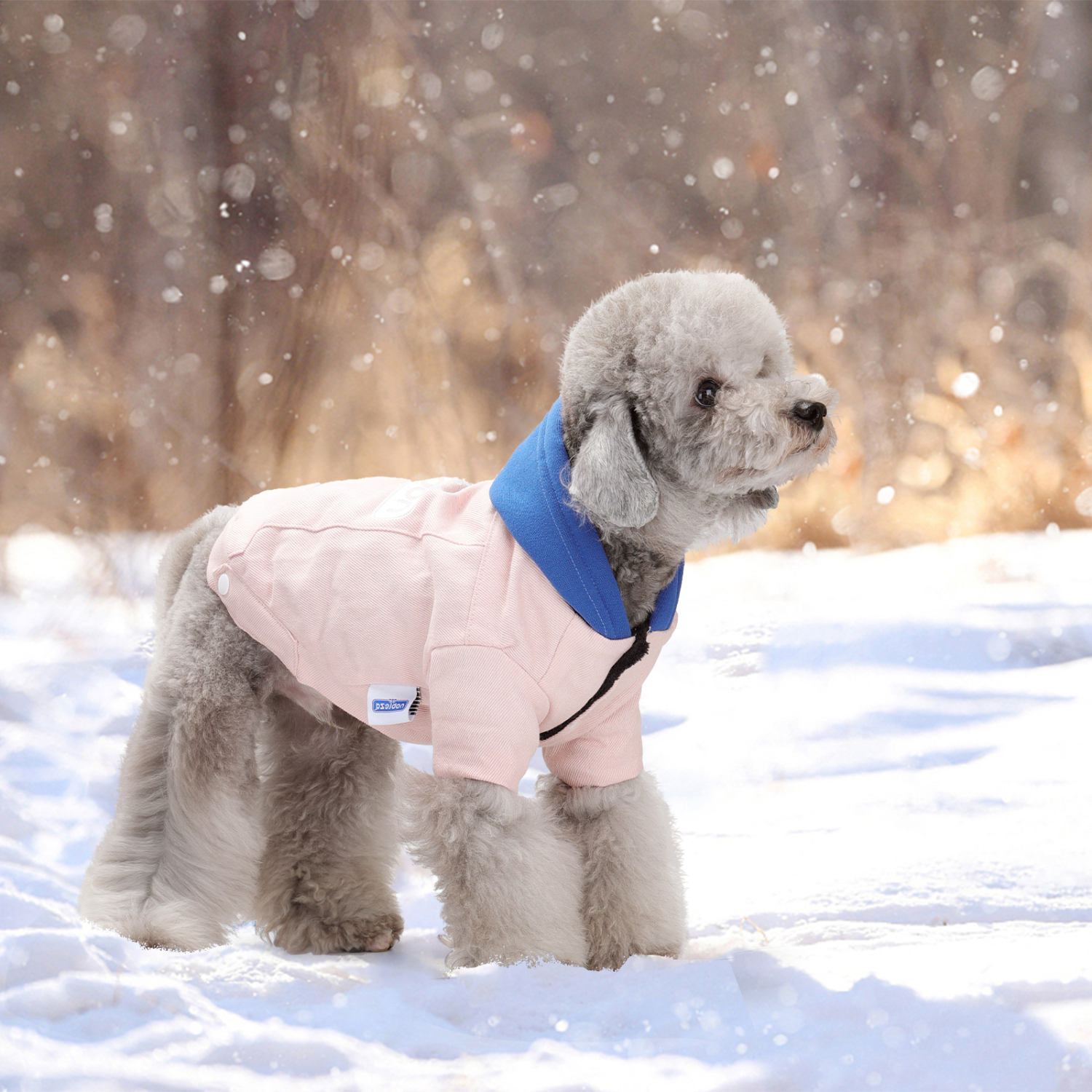 Casaco com capuz Nobleza para cães pequenos, roupa de inverno para cães e gatos, rosa.