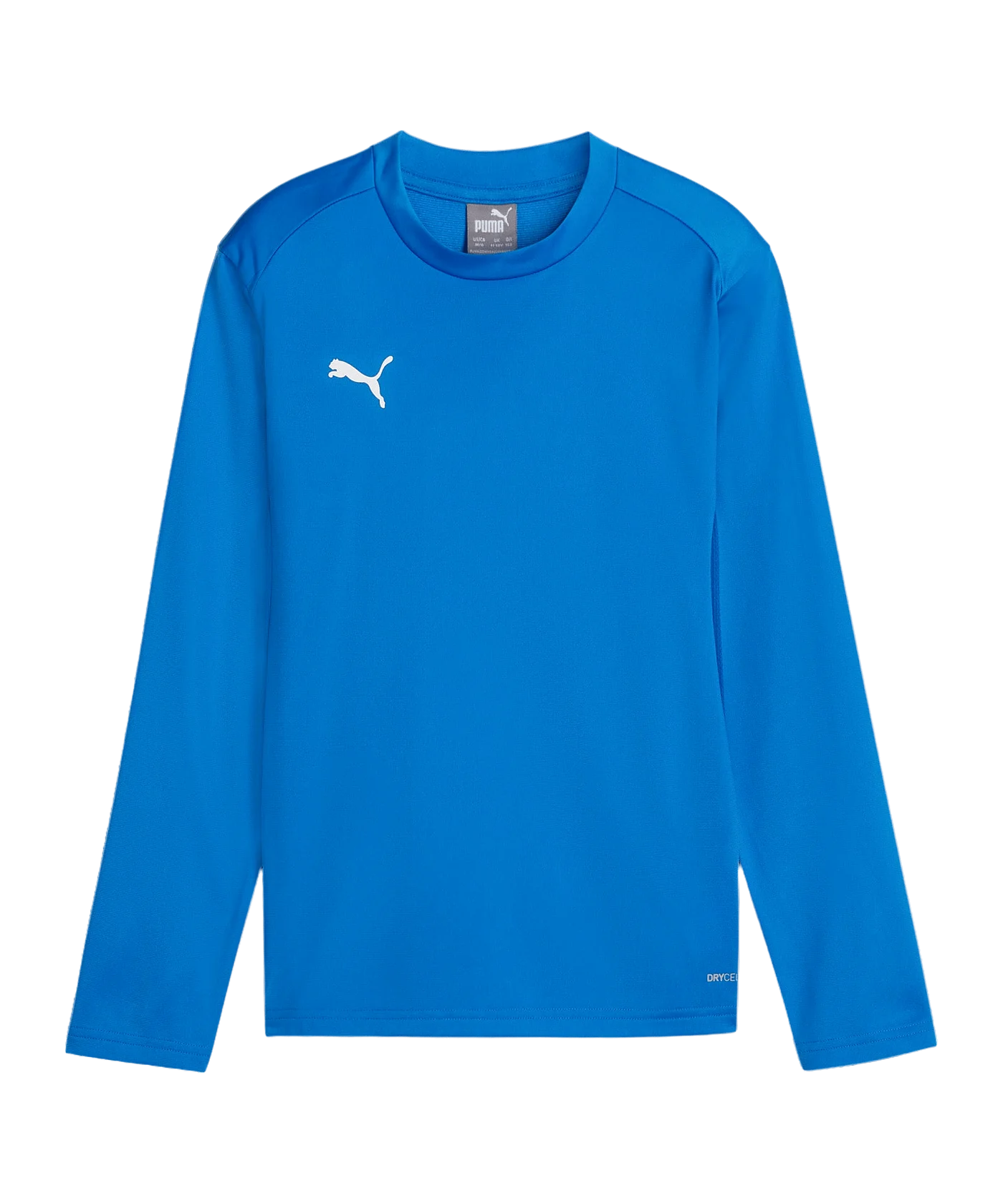 PUMA teamGOAL Training Sweatshirt Kids Blau F02