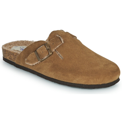 Plakton - BLOGG - Marron
