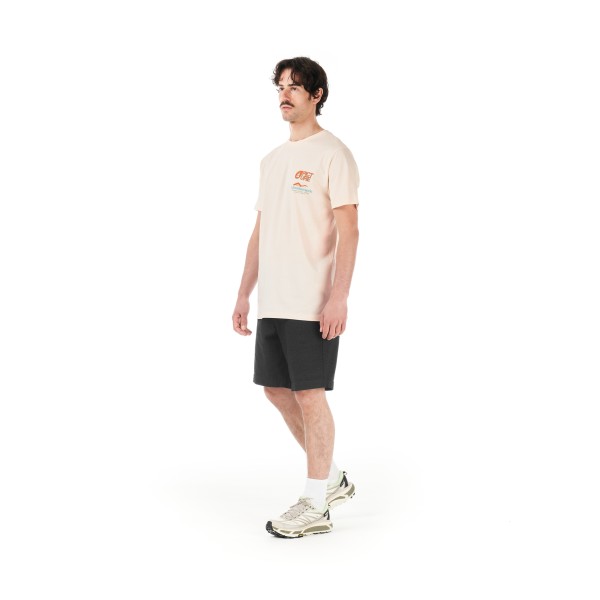 Picture - D&S Les Ecrins Tee - T-shirt