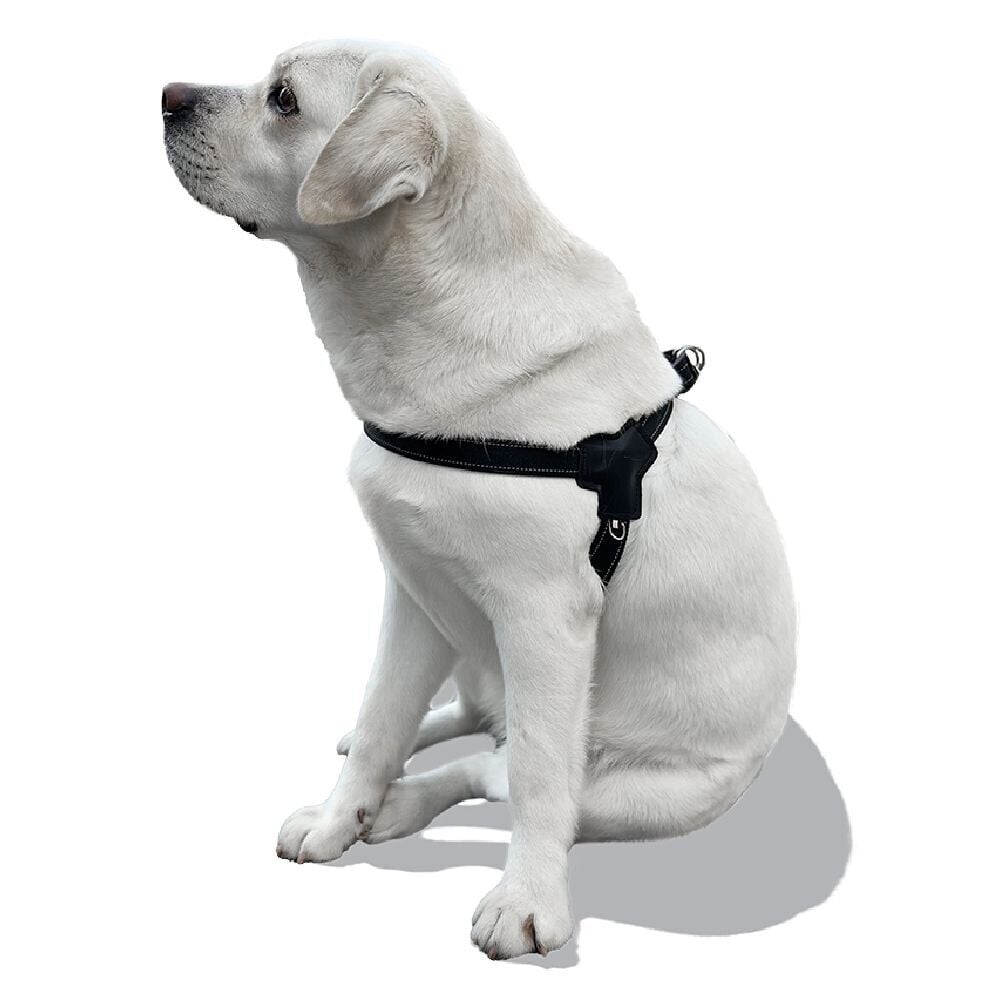 Harnais pour chien taille M 56-69cm