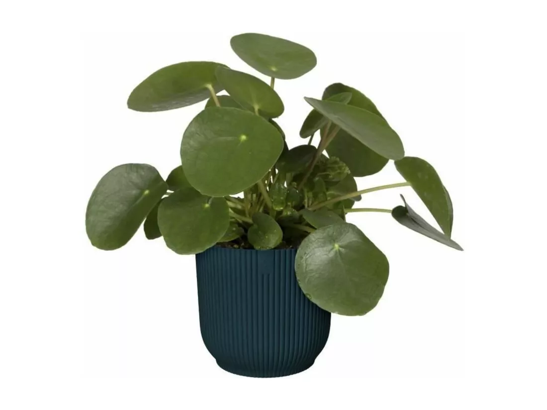 Pot de fleurs Rond VIBES - Plastique - Ø 25 - Bleu Foncé