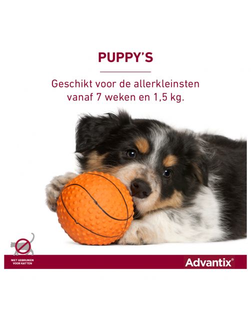 Advantix Spot On 250 2.5 ml - Anti vlooien en tekenmiddel