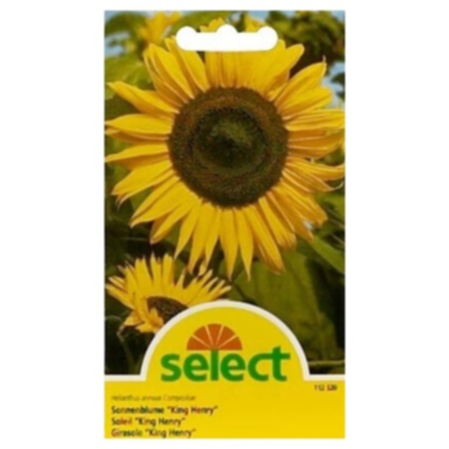 Select Sonnenblume King Henry