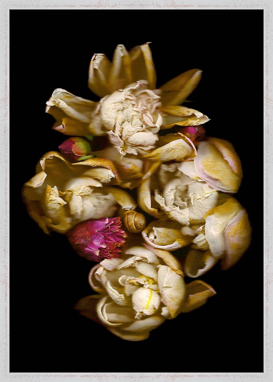 Vanitas X by Annet van der Voort - Limited Edition. Edition of: 150. Signed.