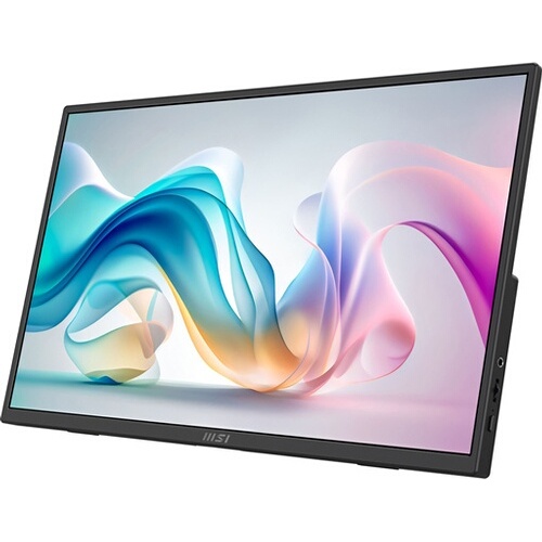 Ecran PC Msi PRO MP165 E6