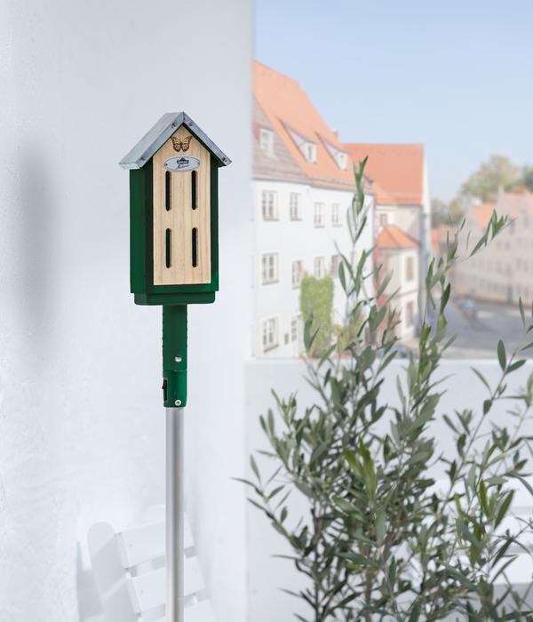 Dehner Natura Premium Schmetterlingshaus
