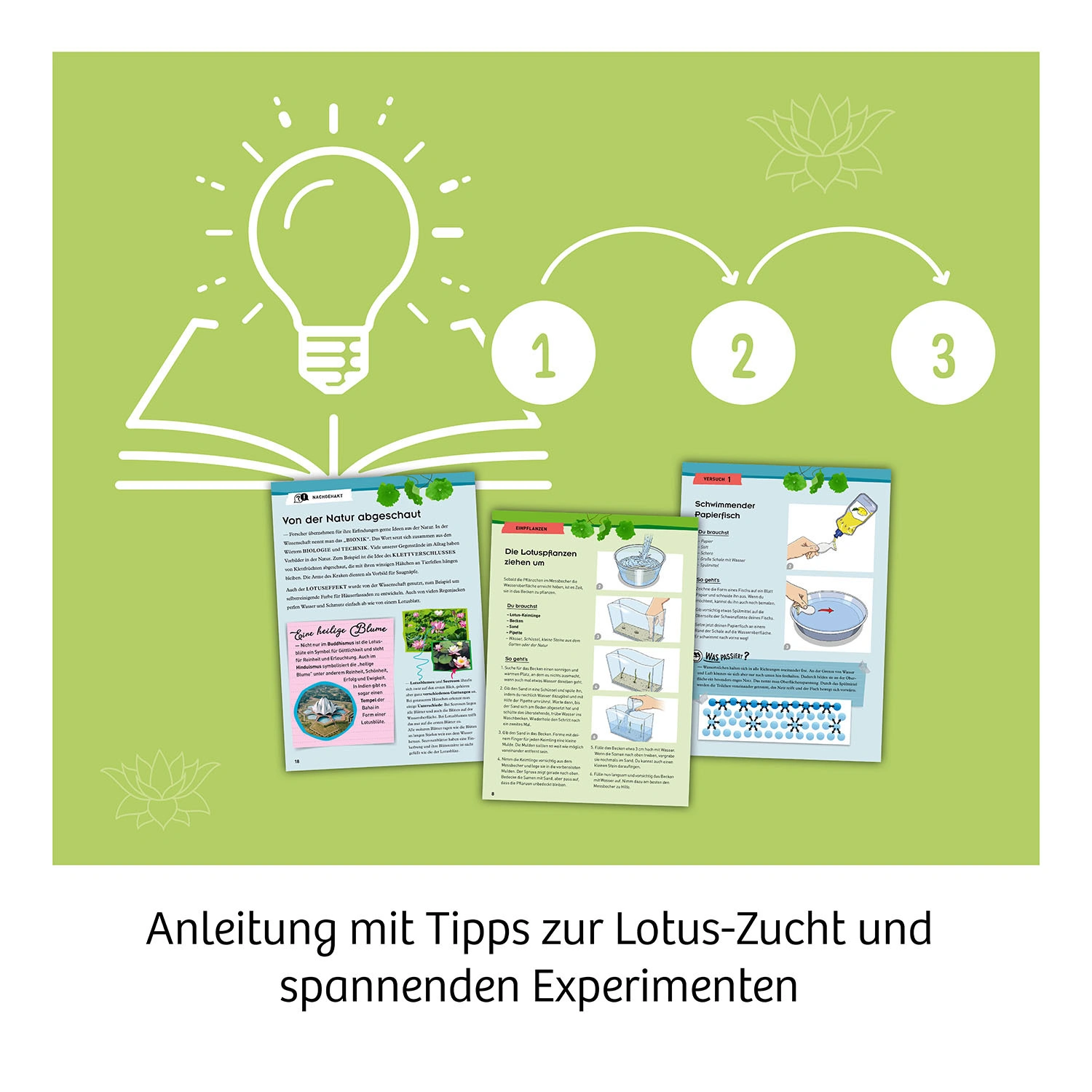 Experimentier-Set LOTUSBLUME