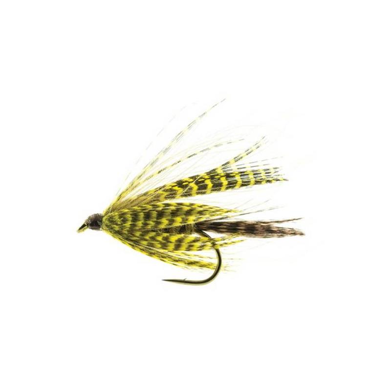 Mouche Devaux Emergente Jbmai 02