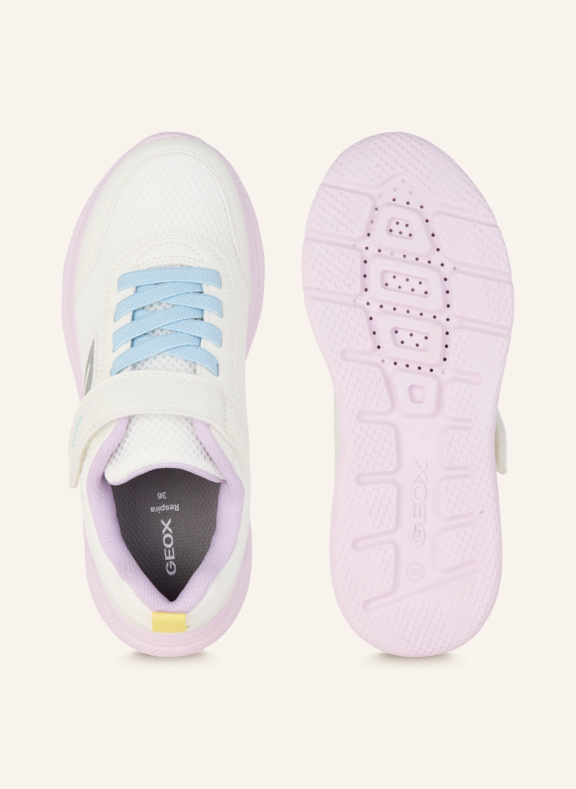GEOX Sneaker SPRINTYE