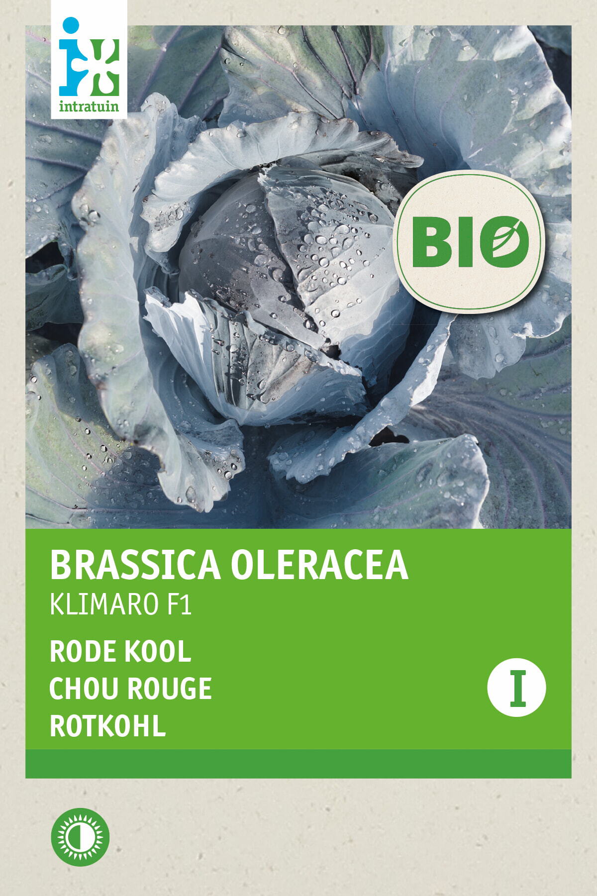 Intratuin Biologisch groentezaad Rode kool (Brassica oleracea 'Klimaro F1')