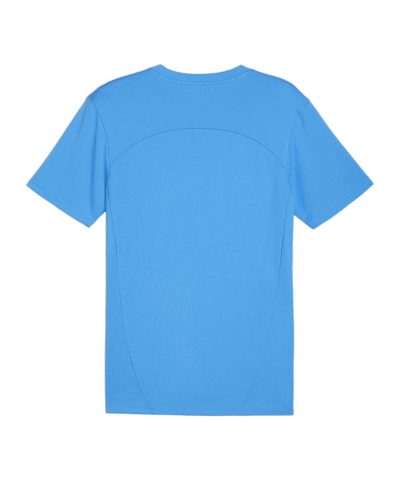 PUMA teamFINAL Trikot Blau F02