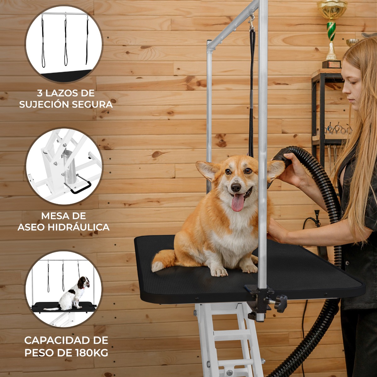 Mesa sanitária hidráulica branca com superfície preta