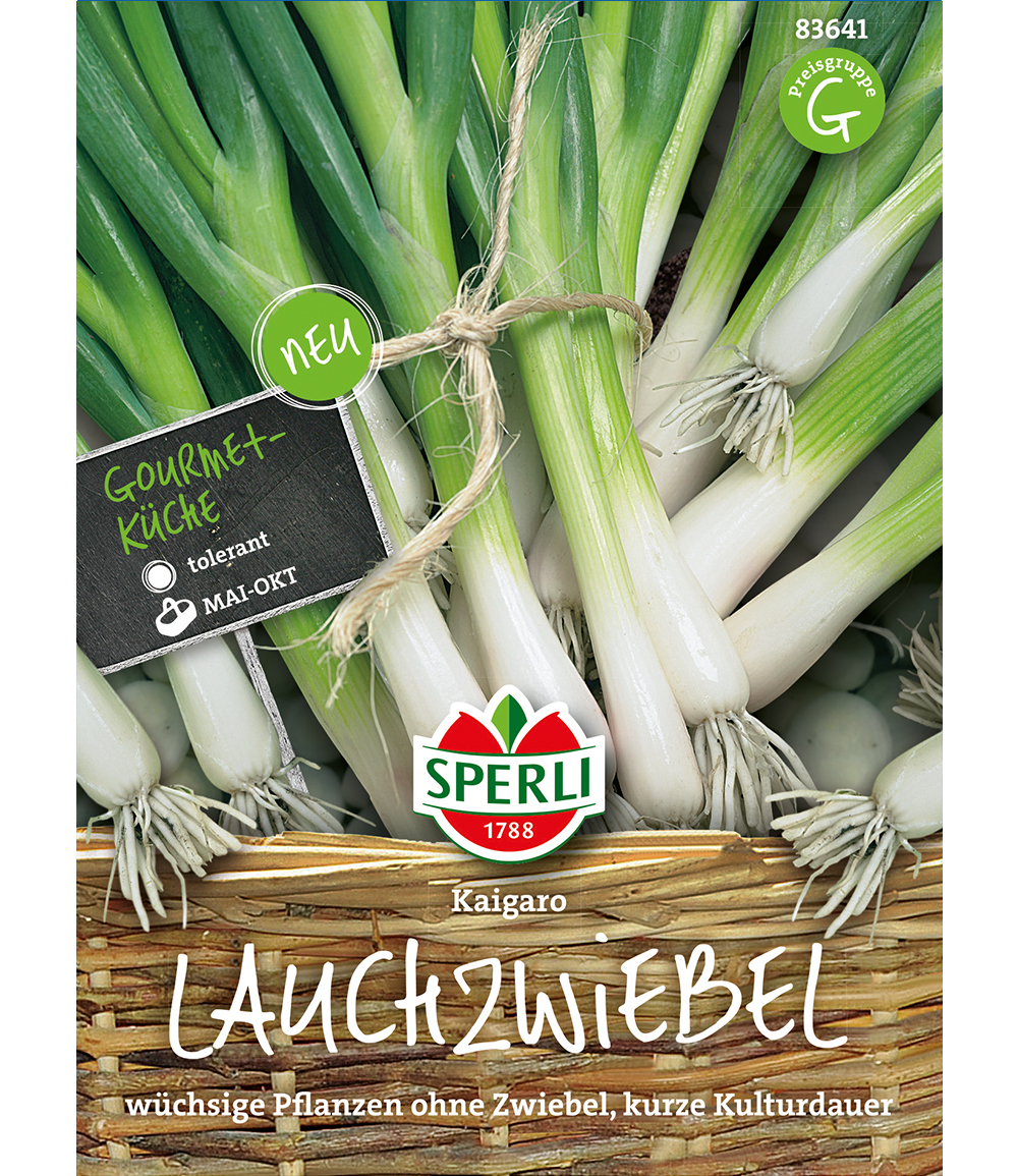 Lauchzwiebel 'Kaigaro'