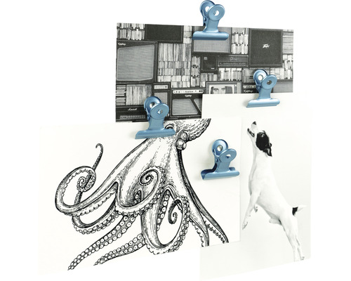 Magnetische clip GRAFFA 4-delige set
