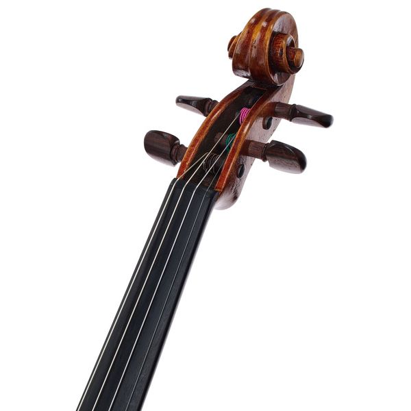 Scala Vilagio F.H. Guarneri del G. Plowden