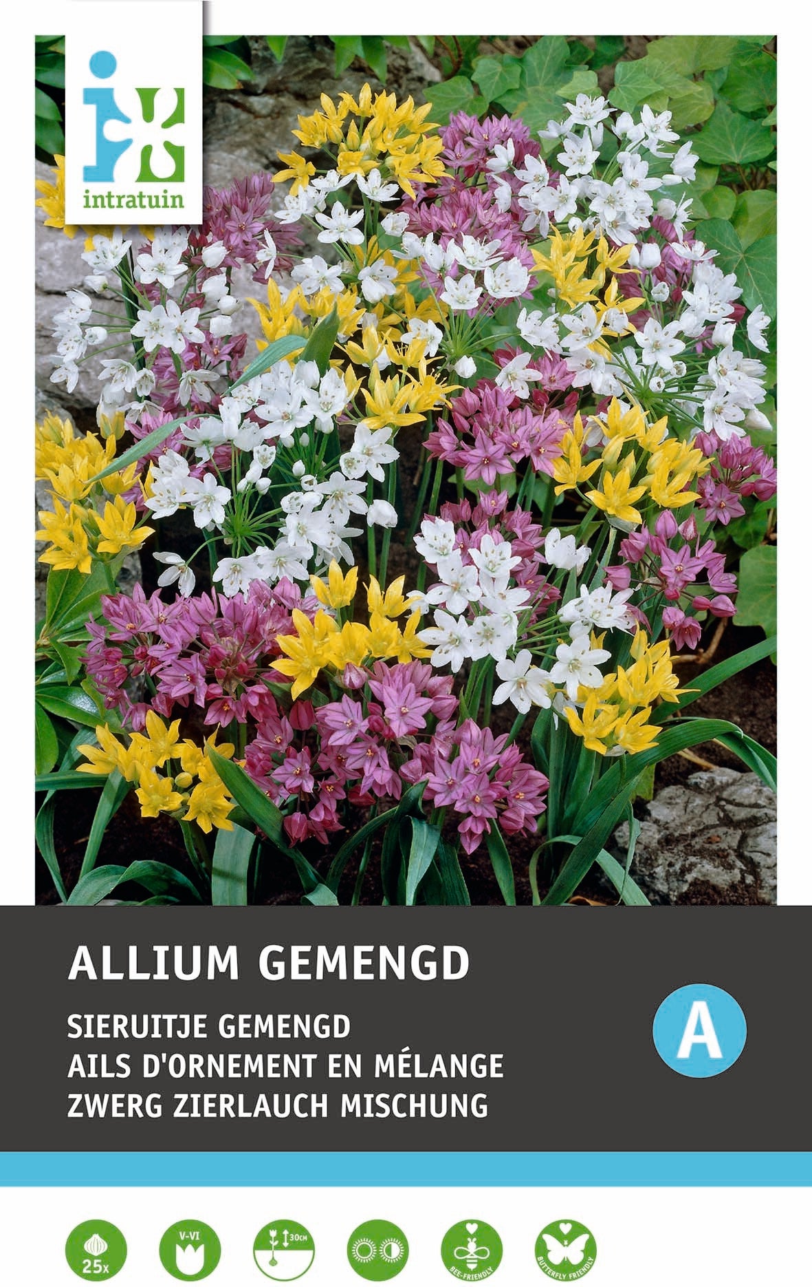 Intratuin bloembollen Sierui (Allium) gemengd 25 stuks