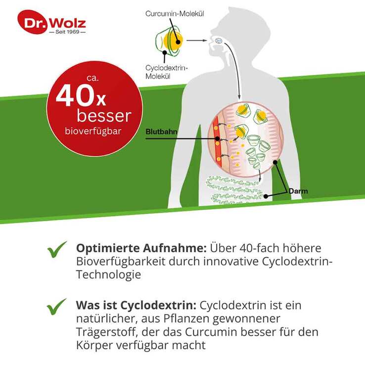Curcumin Extrakt 45 Dr. Wolz Kapseln, 90 St