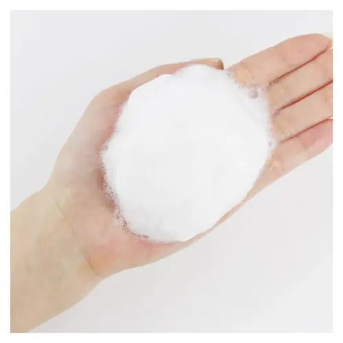 1025 Dokdo Cleanser