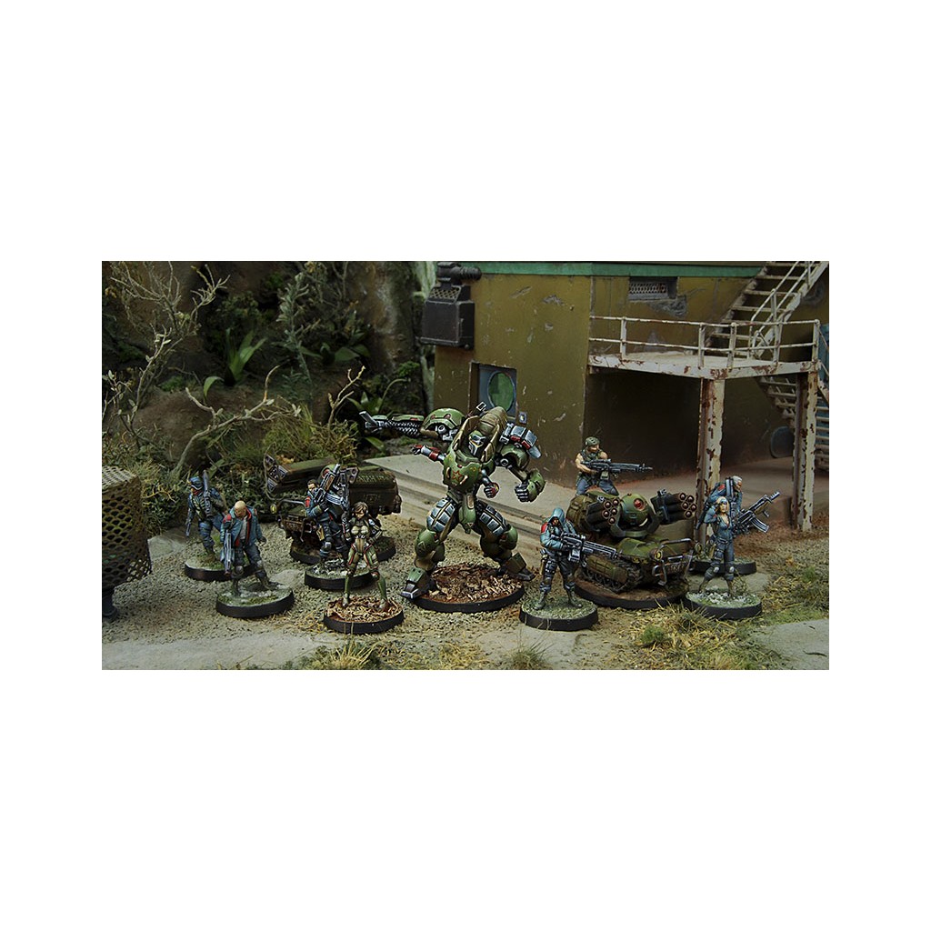 Infinity - Mercenaries - Anaconda, Mercenary TAG Squadron