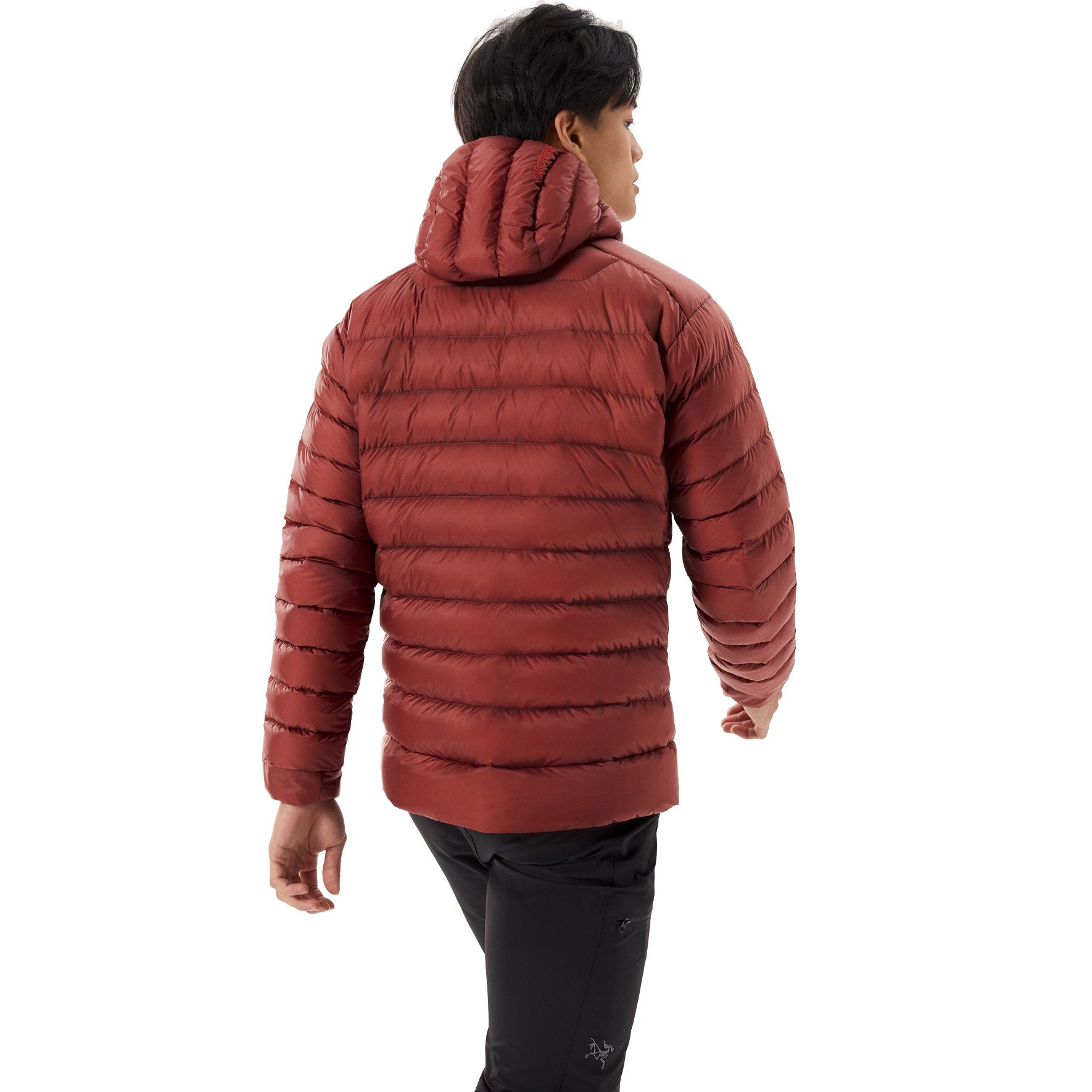 Arc'teryx Cerium Hoody Isolationsjacke Herren sequoia