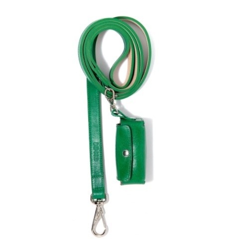 Conjunto Leal Rocco coleira verde para cães