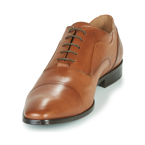 Carlington - NIMIO - Camel