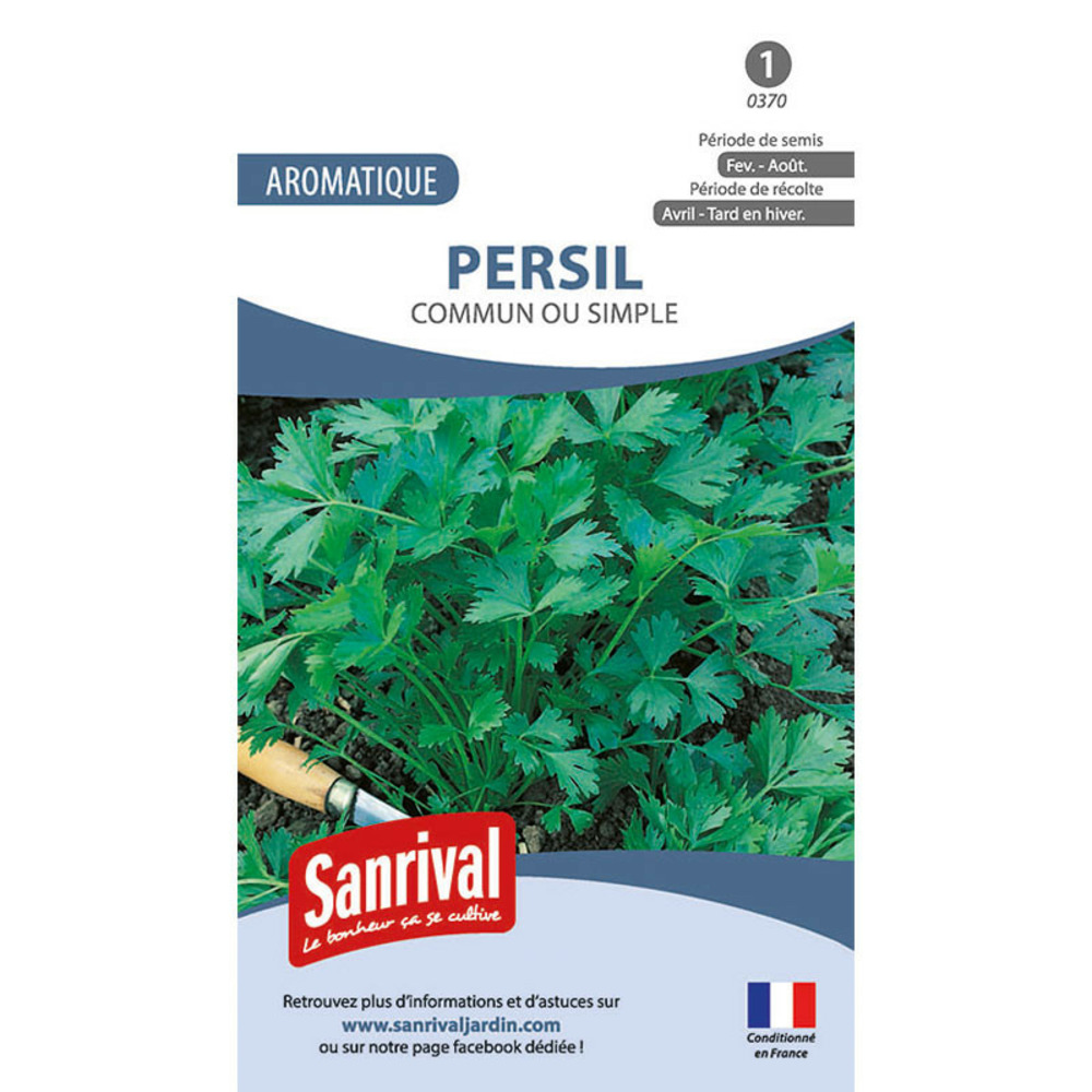 Graines persil commun