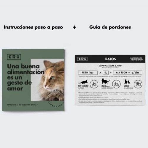 CRU caixa completa com sabores sortidos para gatos
