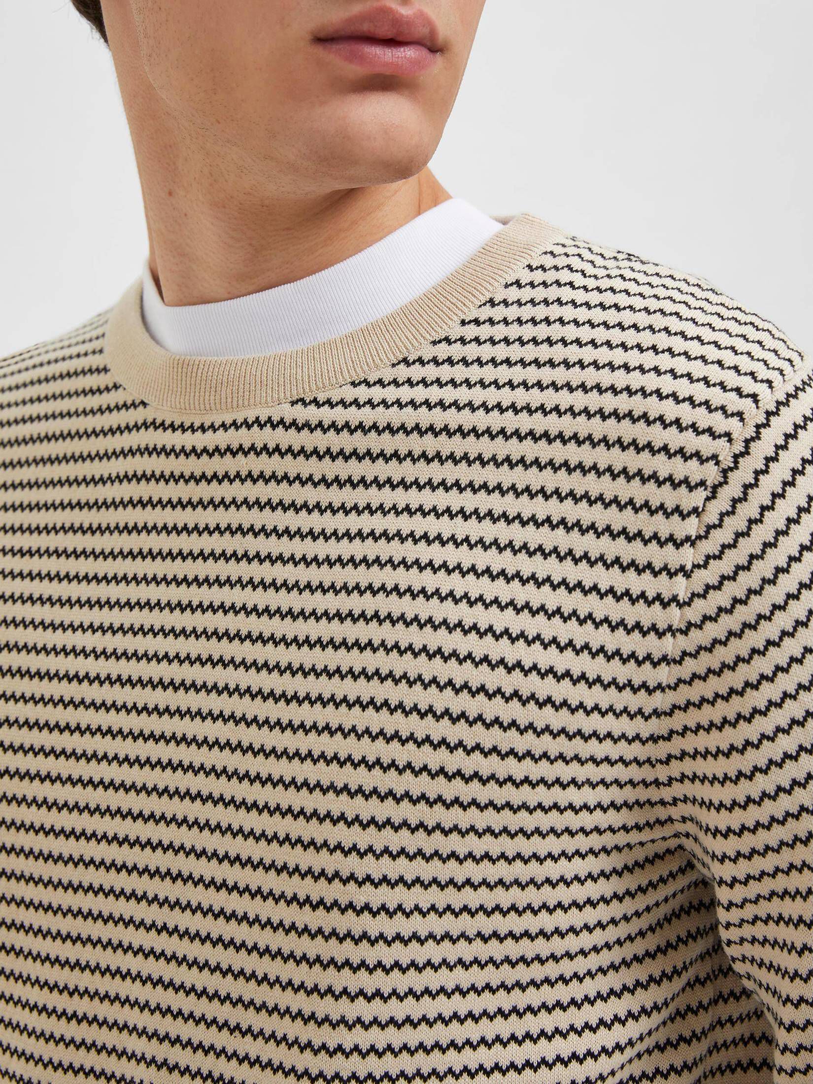 Selected Homme| Herren Pullover SLHROBIN