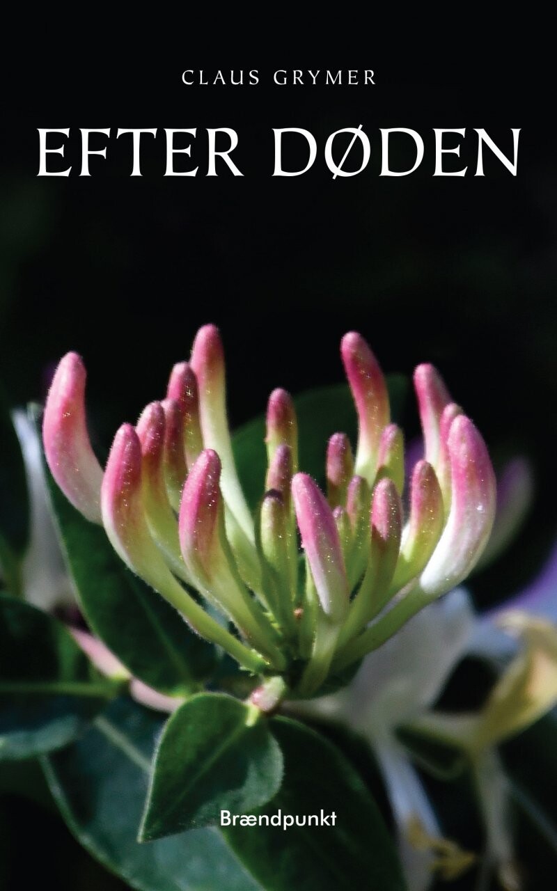 Efter Døden - Claus Grymer - Bog