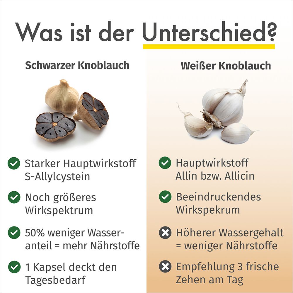 GREEN NATURALS Schwarzer Knoblauch 600 mg hochdosiert vegan